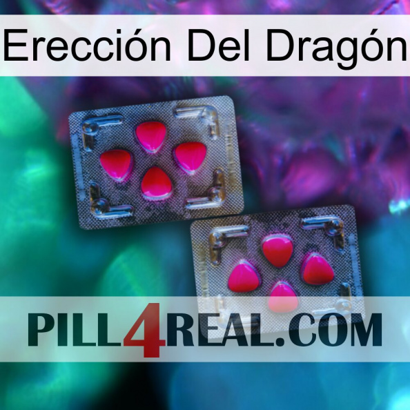 Erección Del Dragón 15.jpg